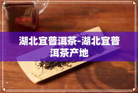 湖北宜普洱茶-湖北宜普洱茶产地