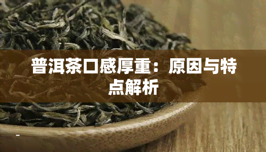 普洱茶口感厚重：原因与特点解析