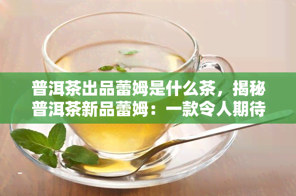 普洱茶出品蕾姆是什么茶，揭秘普洱茶新品蕾姆：一款令人期待的茶叶品种