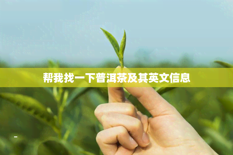 帮我找一下普洱茶及其英文信息