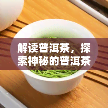 解读普洱茶，探索神秘的普洱茶世界：如何解读其口感与文化背景？