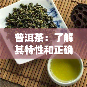 普洱茶：了解其特性和正确冲泡方法