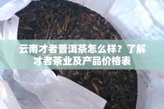 云南才者普洱茶怎么样？了解才者茶业及产品价格表