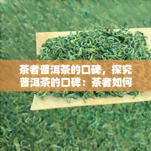 茶者普洱茶的口碑，探究普洱茶的口碑：茶者如何赢得赞誉？