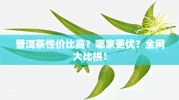 普洱茶性价比高？哪家更优？全网大比拼！