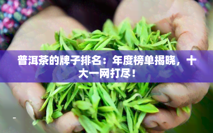 普洱茶的牌子排名：年度榜单揭晓，十大一网打尽！