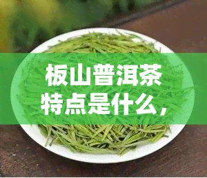 板山普洱茶特点是什么，探秘板山普洱茶的独特特点