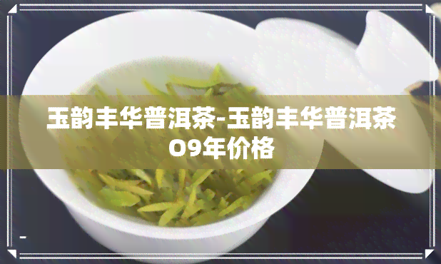 玉韵丰华普洱茶-玉韵丰华普洱茶O9年价格