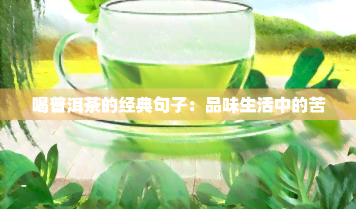 喝普洱茶的经典句子：品味生活中的苦