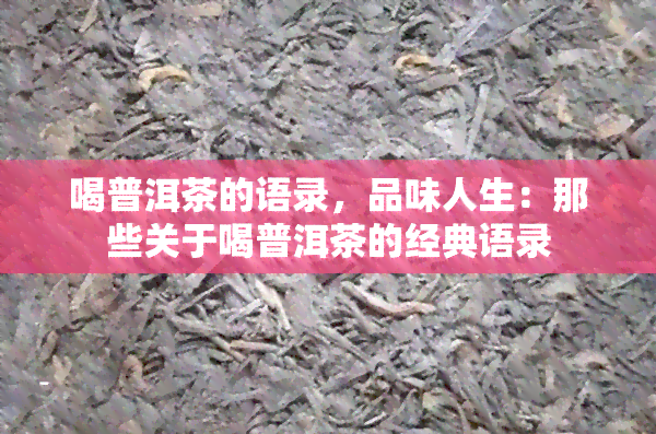 喝普洱茶的语录，品味人生：那些关于喝普洱茶的经典语录