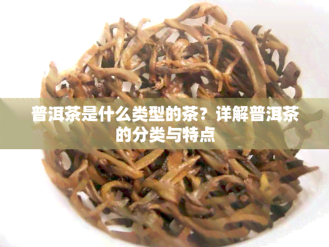 普洱茶是什么类型的茶？详解普洱茶的分类与特点