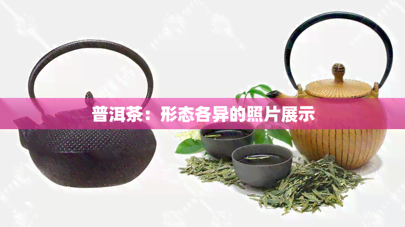 普洱茶：形态各异的照片展示