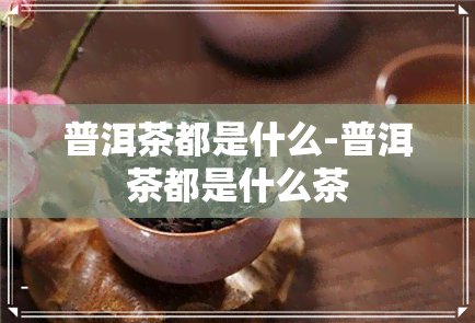 普洱茶都是什么-普洱茶都是什么茶