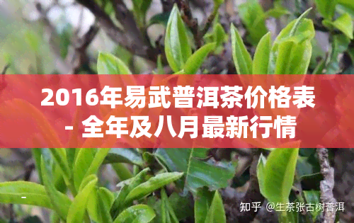 2016年易武普洱茶价格表 - 全年及八月最新行情