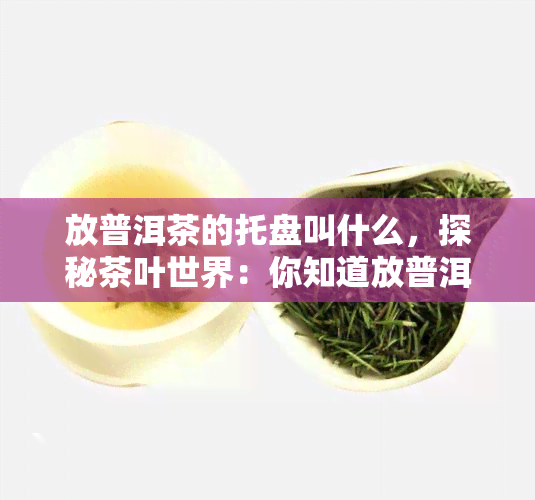 放普洱茶的托盘叫什么，探秘茶叶世界：你知道放普洱茶的托盘叫什么吗？