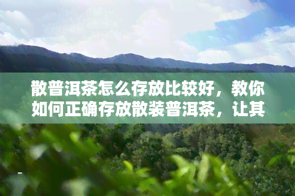 散普洱茶怎么存放比较好，教你如何正确存放散装普洱茶，让其保持口感！