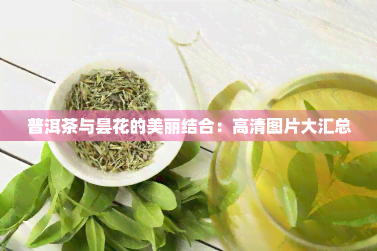 普洱茶与昙花的美丽结合：高清图片大汇总