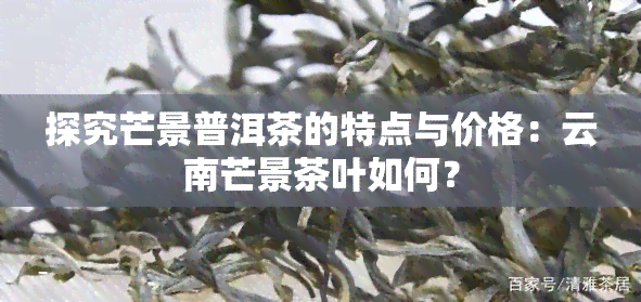 探究芒景普洱茶的特点与价格：云南芒景茶叶如何？