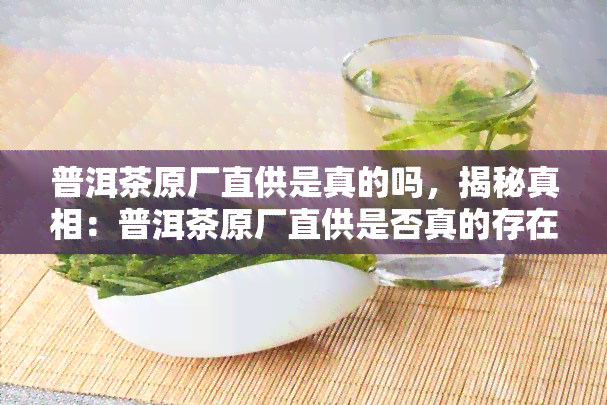 普洱茶原厂直供是真的吗，揭秘真相：普洱茶原厂直供是否真的存在？