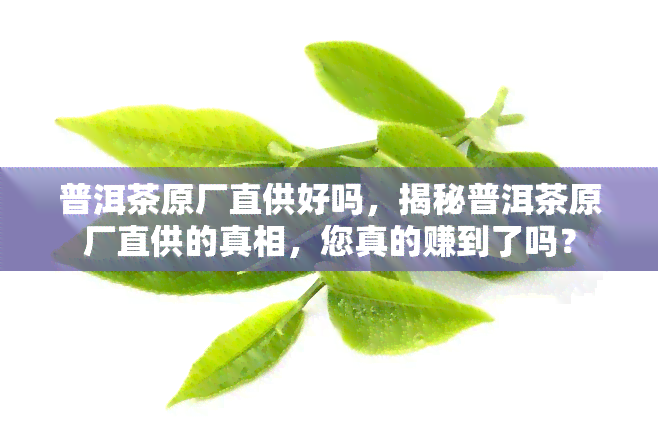 普洱茶原厂直供好吗，揭秘普洱茶原厂直供的真相，您真的赚到了吗？