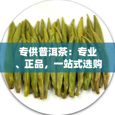 专供普洱茶：专业、正品，一站式选购！