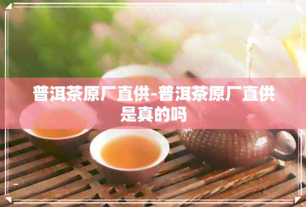 普洱茶原厂直供-普洱茶原厂直供是真的吗