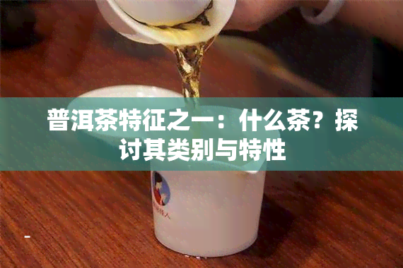 普洱茶特征之一：什么茶？探讨其类别与特性