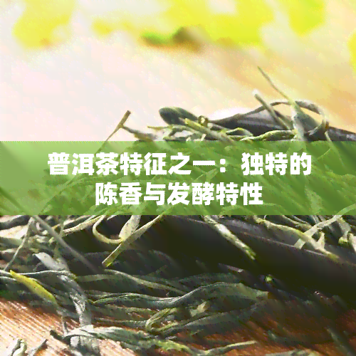 普洱茶特征之一：独特的陈香与发酵特性