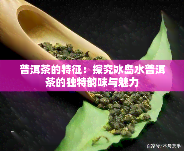 普洱茶的特征：探究冰岛水普洱茶的独特韵味与魅力