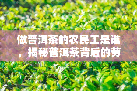 做普洱茶的农民工是谁，揭秘普洱茶背后的劳动者：那些默默无闻的农民工们