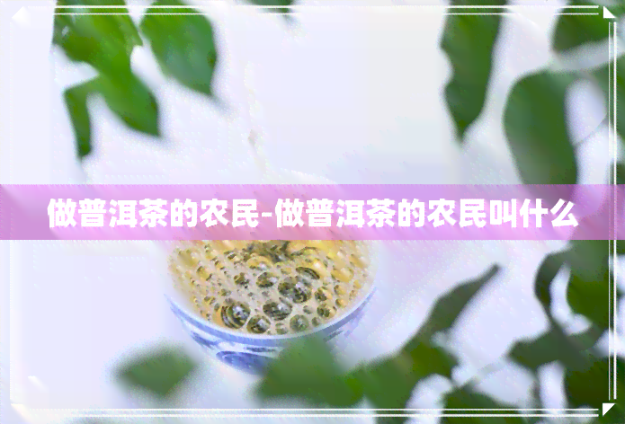 做普洱茶的农民-做普洱茶的农民叫什么