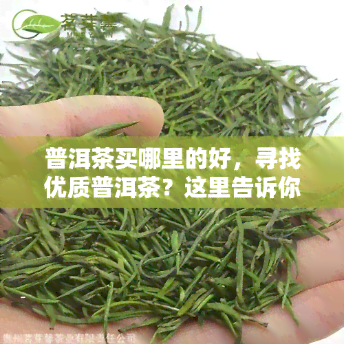 普洱茶买哪里的好，寻找优质普洱茶？这里告诉你哪里买！