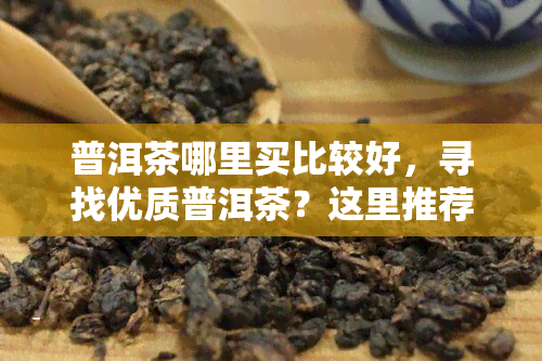 普洱茶哪里买比较好，寻找优质普洱茶？这里推荐几个购买好去处！