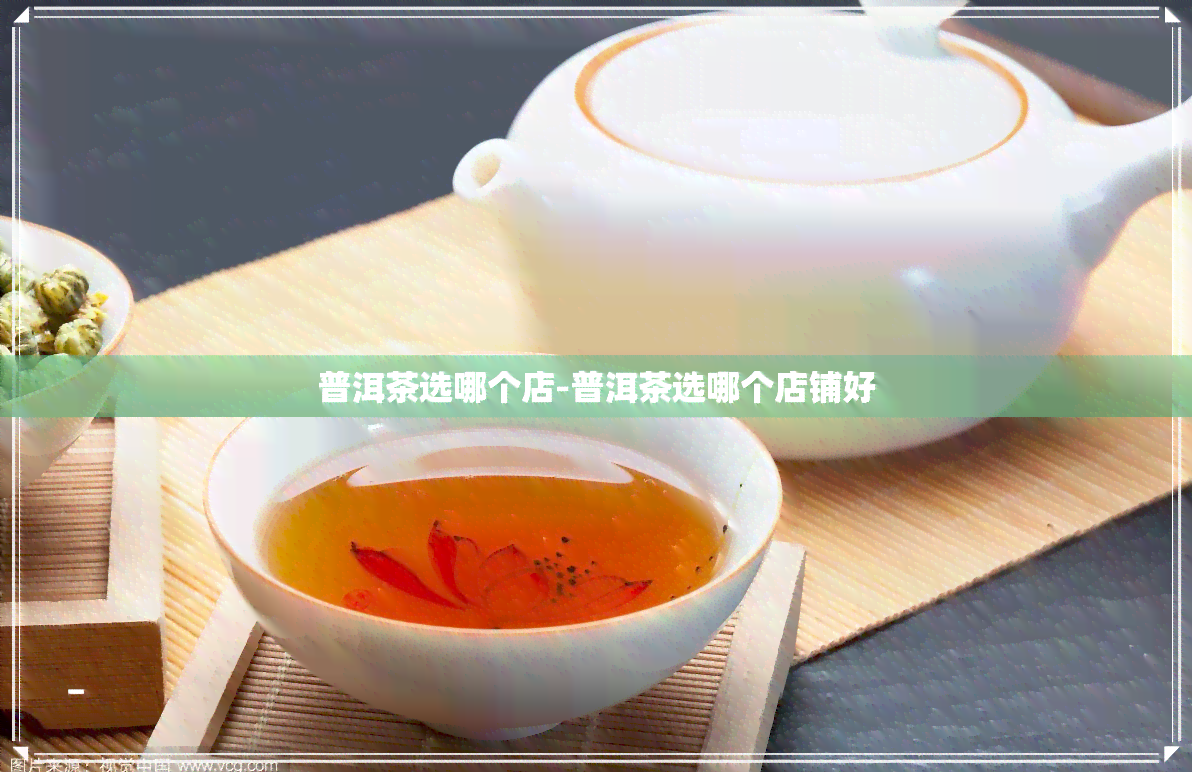 普洱茶选哪个店-普洱茶选哪个店铺好