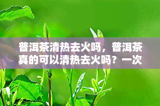 普洱茶清热去火吗，普洱茶真的可以清热去火吗？一次告诉你真相！