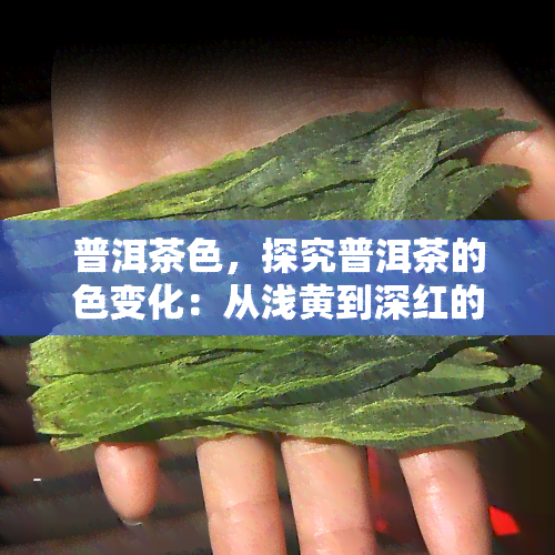 普洱茶色，探究普洱茶的色变化：从浅黄到深红的秘密