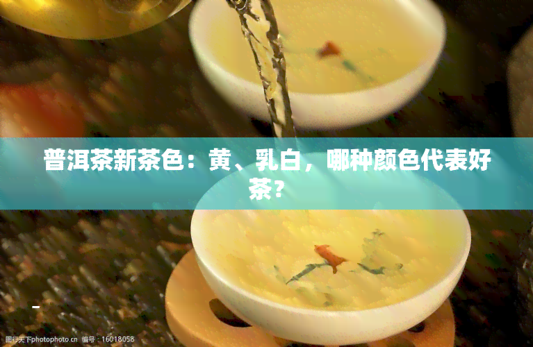 普洱茶新茶色：黄、乳白，哪种颜色代表好茶？