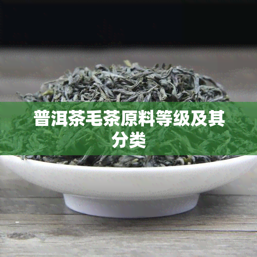 普洱茶毛茶原料等级及其分类