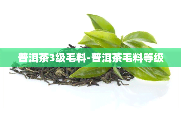 普洱茶3级毛料-普洱茶毛料等级