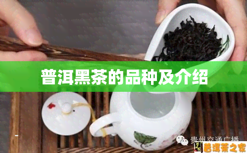 普洱黑茶的品种及介绍