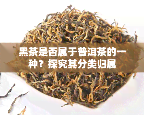 黑茶是否属于普洱茶的一种？探究其分类归属