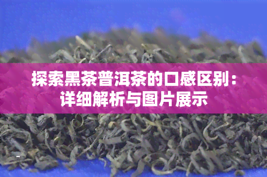 探索黑茶普洱茶的口感区别：详细解析与图片展示