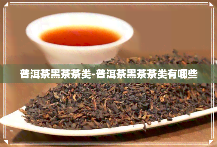 普洱茶黑茶茶类-普洱茶黑茶茶类有哪些