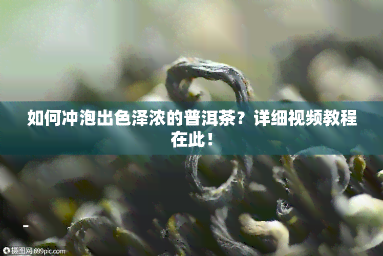 如何冲泡出色泽浓的普洱茶？详细视频教程在此！