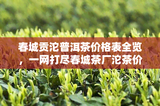 春城贡沱普洱茶价格表全览，一网打尽春城茶厂沱茶价目