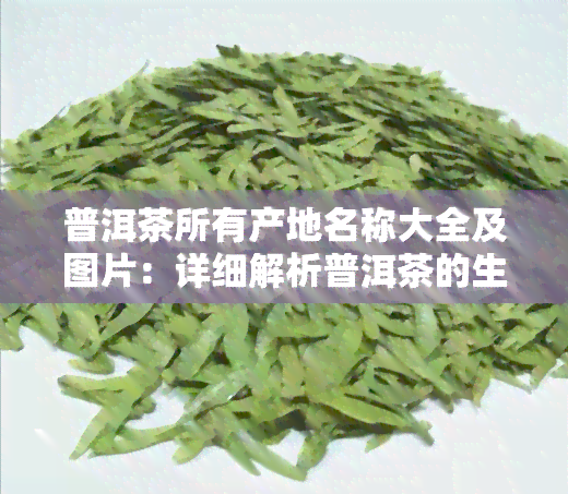 JN江南体育最新官网入口普洱茶所有产地-普洱茶所有产地名称(图6)