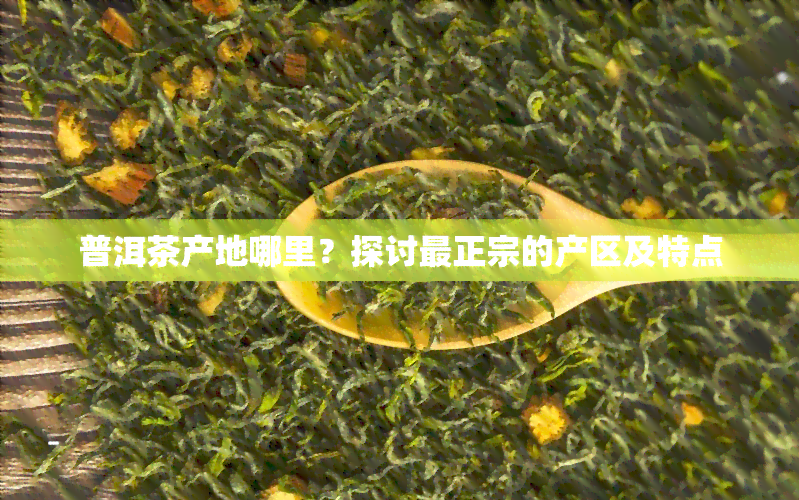 JN江南体育最新官网入口普洱茶所有产地-普洱茶所有产地名称(图2)