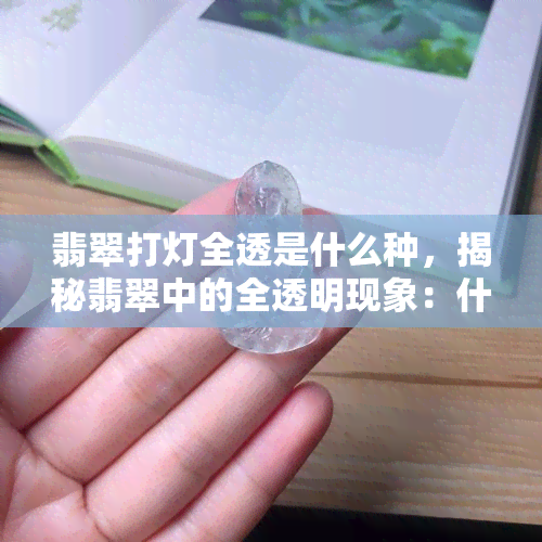 翡翠打灯全透是什么种，揭秘翡翠中的全透明现象：什么种的翡翠才能达到这种效果？