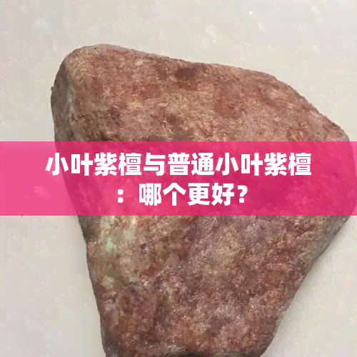 小叶紫檀与普通小叶紫檀：哪个更好？