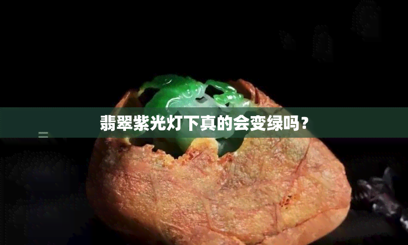 翡翠紫光灯下真的会变绿吗？